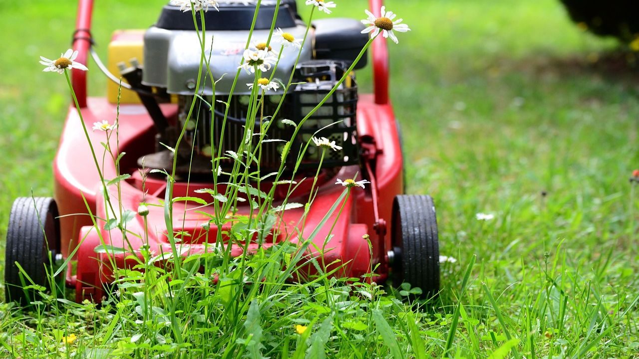 Regular Lawn Maintenance